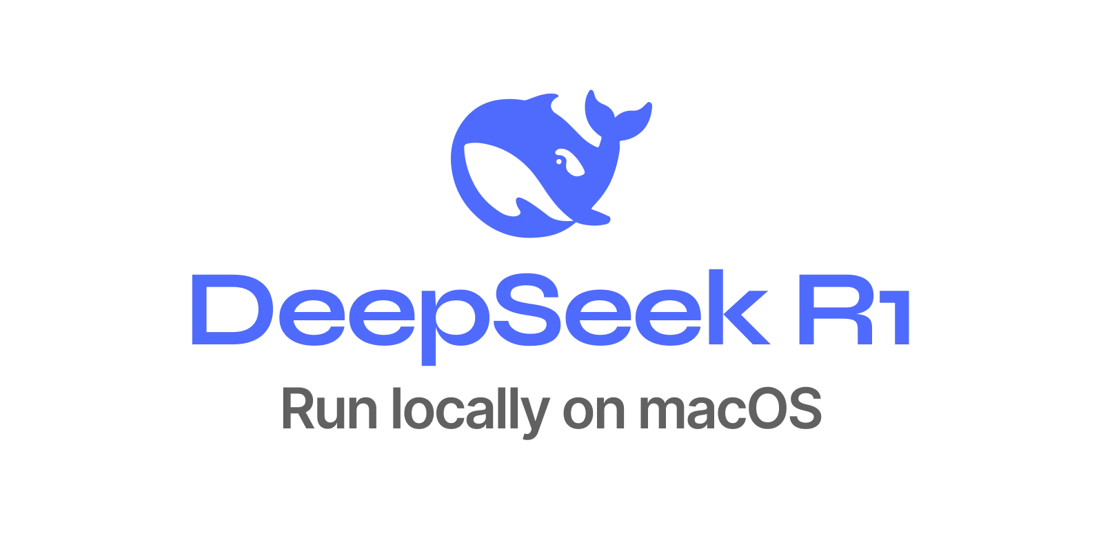 Run DeepSeek R1 locally on macOS